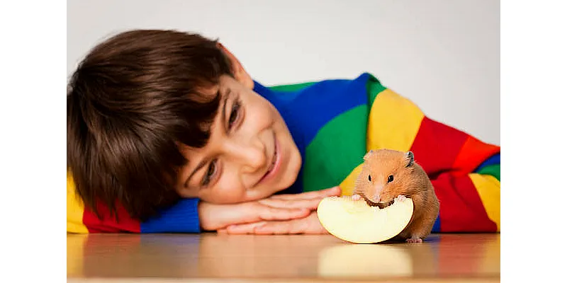 Mohou křečci jíst oves 5