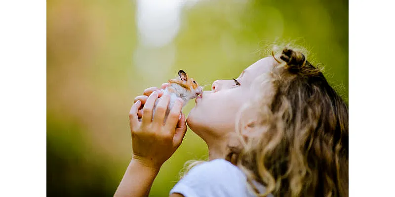 Mohou křečci jíst čokoládu 5