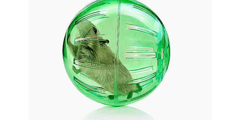 Skutečné náklady na nákup a vlastnictví křečka 2 Skutečné náklady na nákup a vlastnictví křečka 1